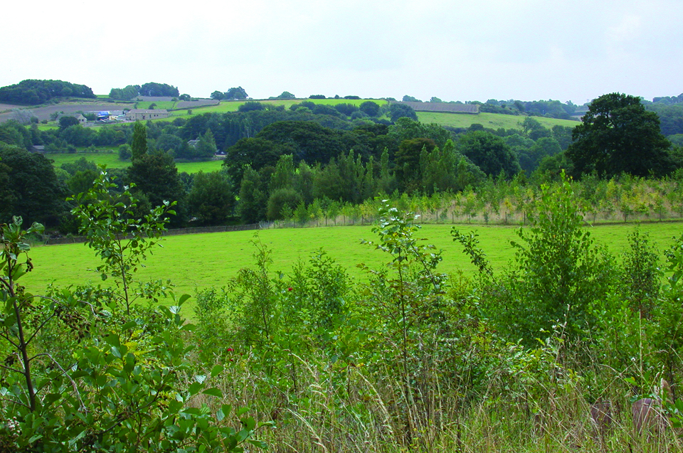 1. Hepworth view