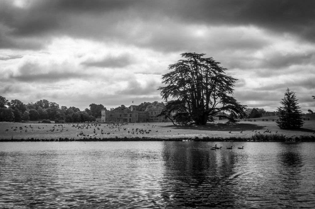 Leeds Castle seen across the lake with a flock of geese on the bank of the lake.